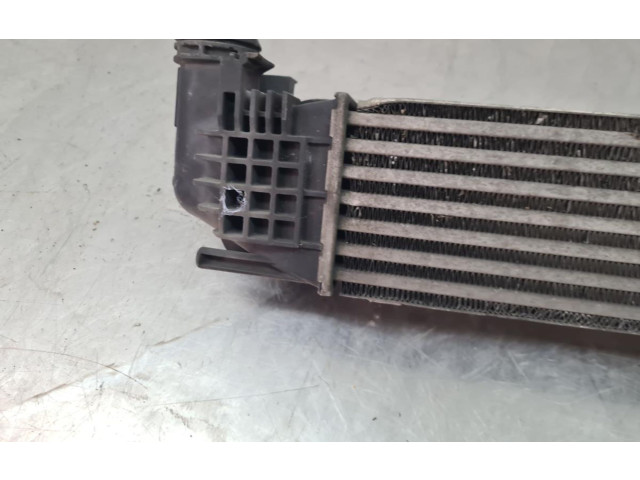 Интеркулер  8200880552, 1100229446   Dacia Duster 