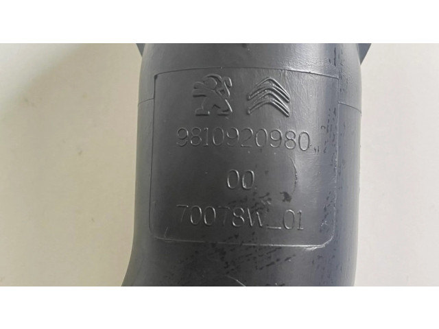 Деталь (детали) канала забора воздуха