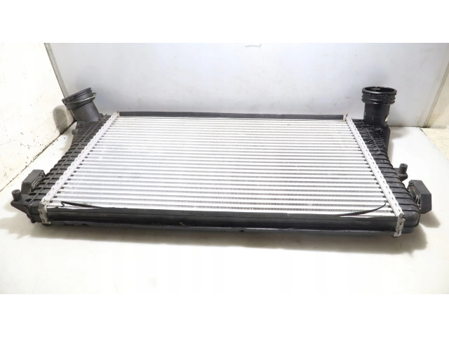 Интеркулер Skoda Octavia Mk2 (1Z)