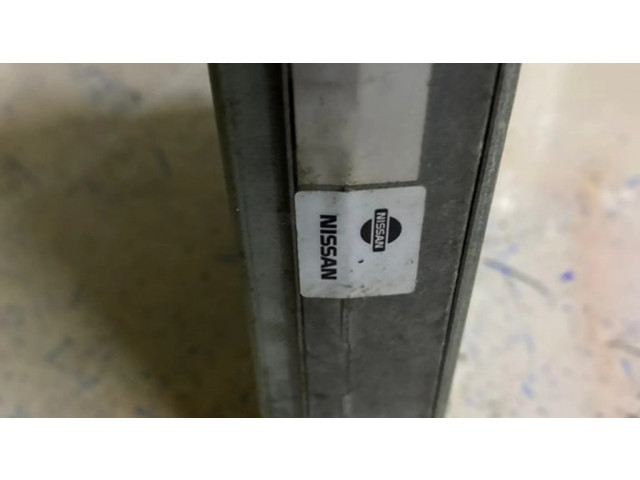 Řídící jednotka 237102N106, 407913121 Nissan Almera 1996