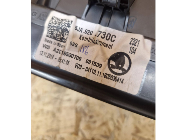 Панель приборов 5JA920730C, 001539   Skoda Rapid (NH)       