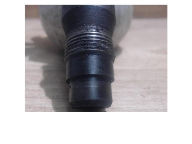 Форсунка 0000198065, 0000198065    Citroen Saxo   