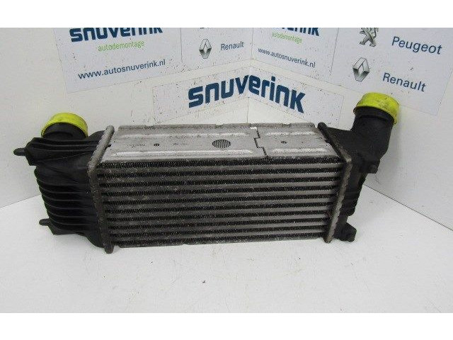 Интеркулер 0384G9, 0384G9 Citroen C5
