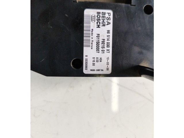 Блок управления климат-контролем 96514030XT, F011500007 Citroen Xsara Picasso