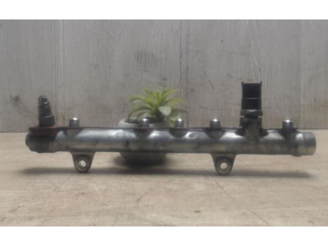 Vstřikovací lišta Renault Megane II