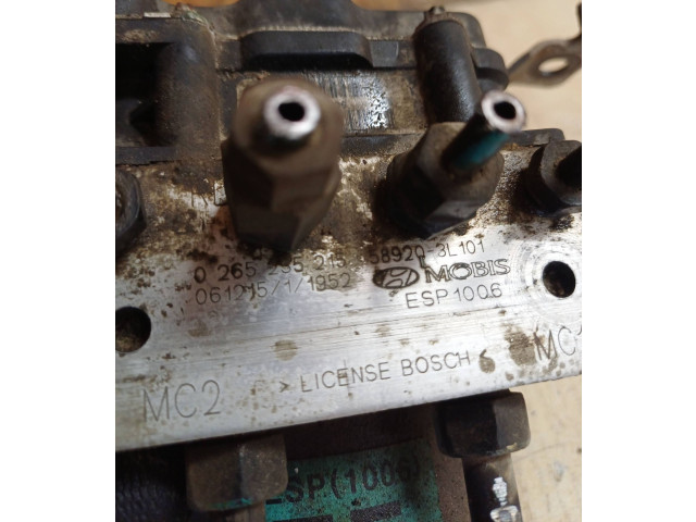 Píst 0265235215, 589203L101 Hyundai Grandeur