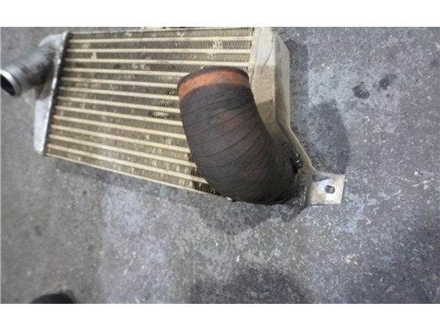 Интеркулер Tata Telcoline