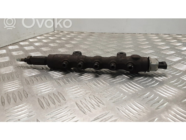 Топливная рампа 55PP0501 Ford Transit 2.4