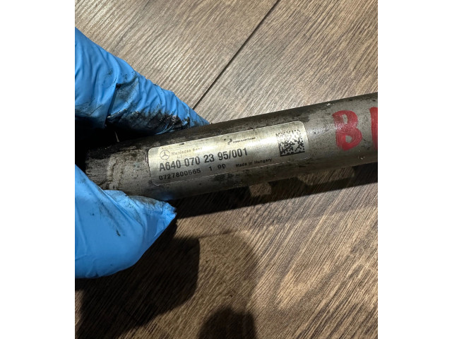 Топливная рампа A6400702395, 0727800565   Mercedes-Benz A W169  