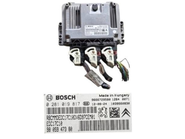 Řídící jednotka 0281019817 Citroen Berlingo 2008
