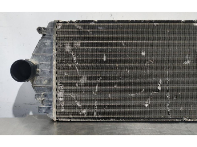 Интеркулер     Peugeot Expert 