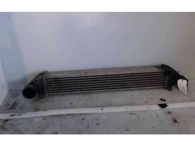 Интеркулер  1695000900, 1695000900   Mercedes-Benz A W169 