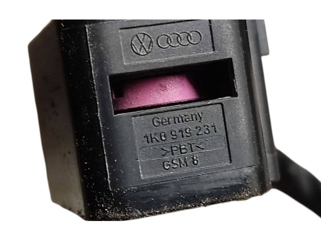 Поршень Блок управления топливного насоса 1K0906093E, 1K0919231 Volkswagen Golf VI