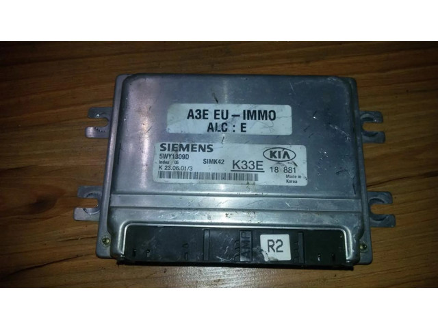 Řídící jednotka 5wy1309d, k33e18881 KIA Rio 2001
