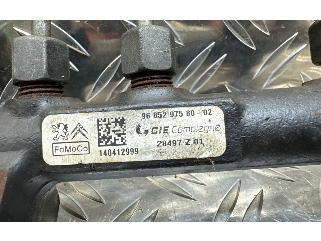 Топливная рампа 9685297580, 28497Z01   Citroen C4 II Picasso  