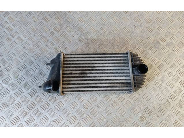 Интеркулер     Suzuki Swift 