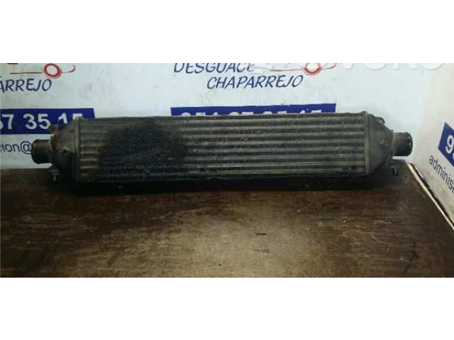 Интеркулер Fiat Grande Punto