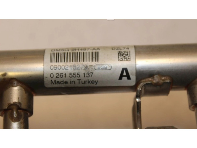 Vstřikovací lišta DM5G9H487AA, 0261555137 Ford Fiesta SFJB(Euro 5)