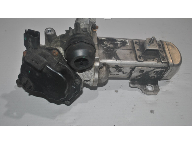 Комплект жиклеров (форсунок) 9678257280    Citroen C5