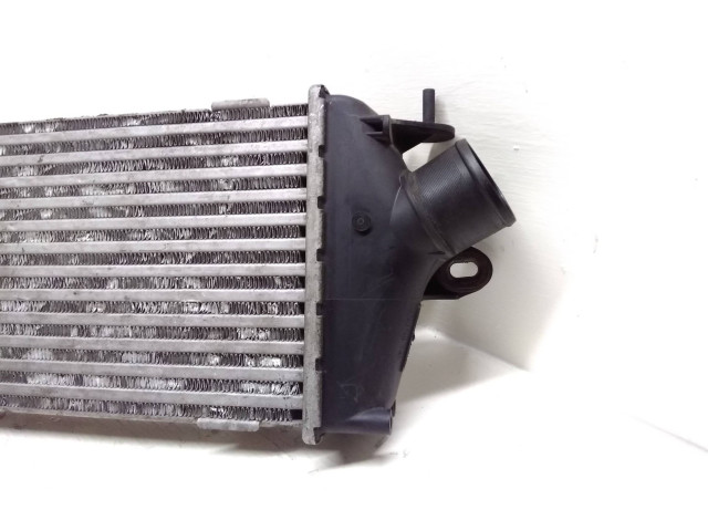 Интеркулер 8200411160C, 93854162 Renault Trafic II (X83) 2.0