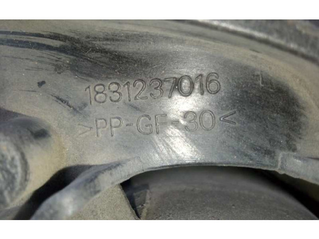 Вентилятор радиатора 1831237016, 2.PINES Citroen Berlingo
