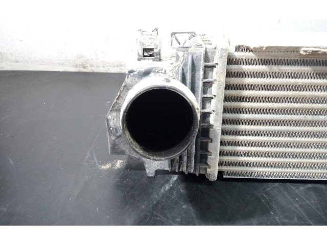 Интеркулер P2-B10-9 BMW 1 F40