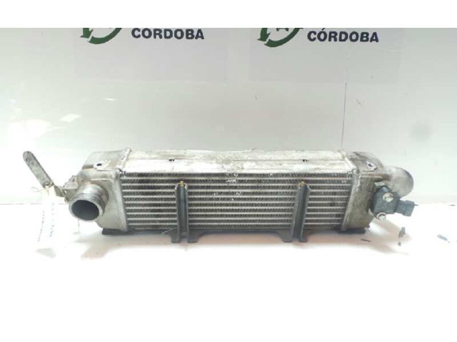 Интеркулер Tata Indigo I