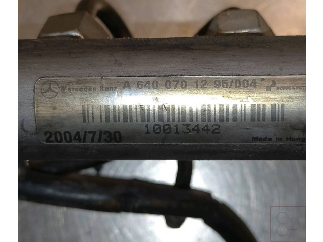 Vstřikovací lišta A6400702395, A6400701295004   Mercedes-Benz B W245     