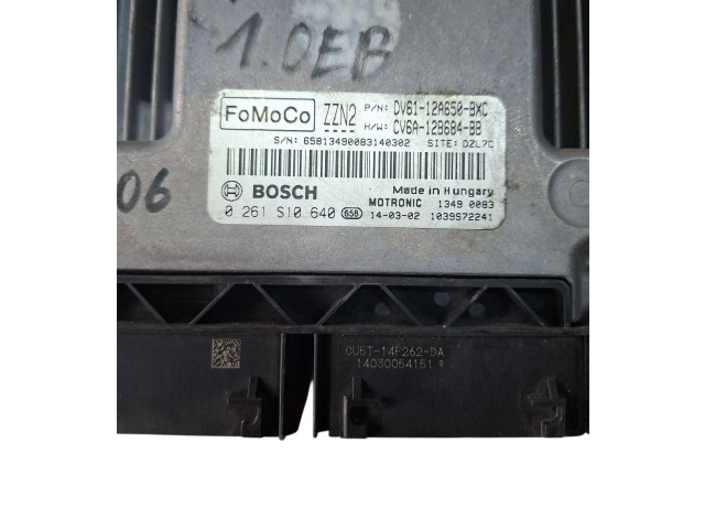 Блок управления двигателем Блок управления DV61-12A650-BXC   Ford Transit -  Tourneo Connect