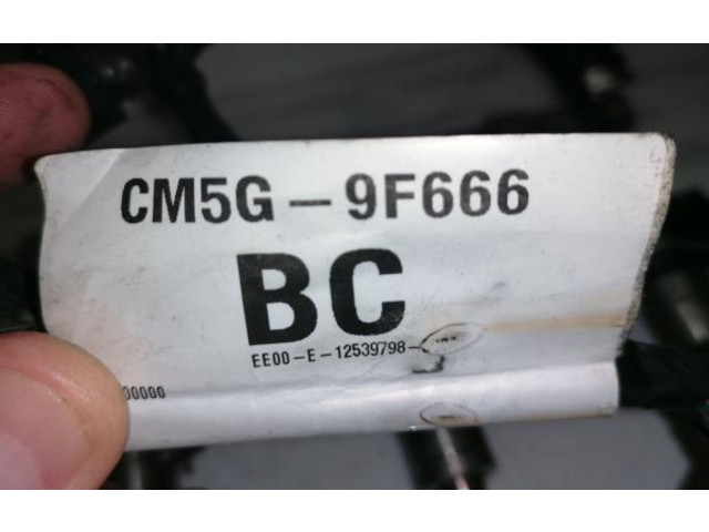 Форсунка 261500128, 090032414    Ford B-MAX  M1JA 