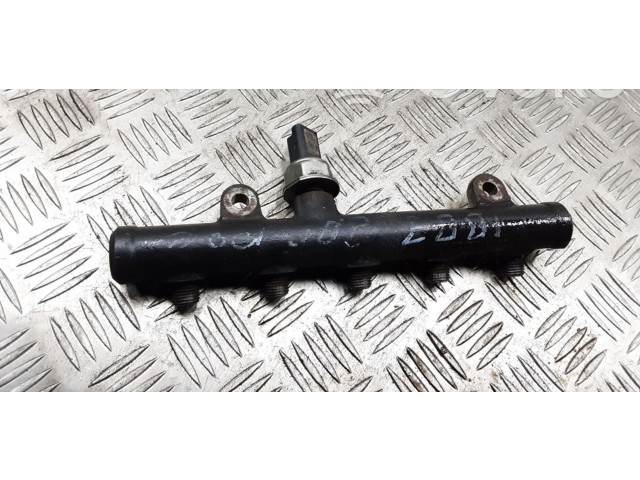 Топливная рампа 9681649580   Fiat Ulysse   для двигателя RHK