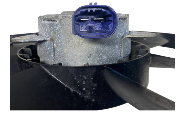 Электрический вентилятор радиаторов 214819521R Dacia Dokker