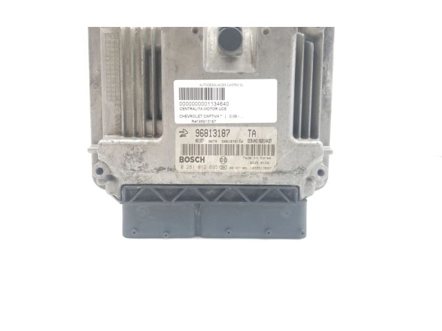 Řídící jednotka 96813187 Chevrolet Captiva 2006