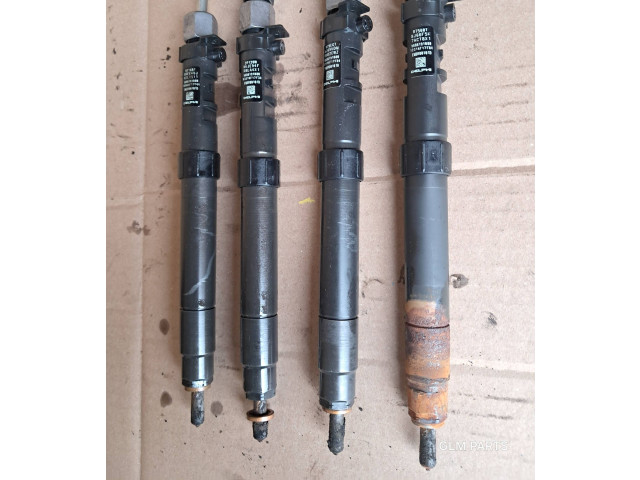 Комплект форсунок 9686191080 Citroen DS4