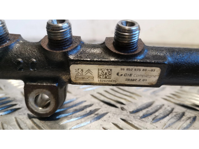 Топливная рампа 28497Z01 Ford Ecosport 1.5