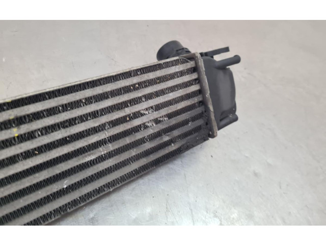 Интеркулер  8200880552, 1100229446   Dacia Duster 