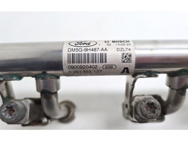 Топливная рампа DM5G9H487AA, 0261555137   Ford C-MAX II   для двигателя M2DA