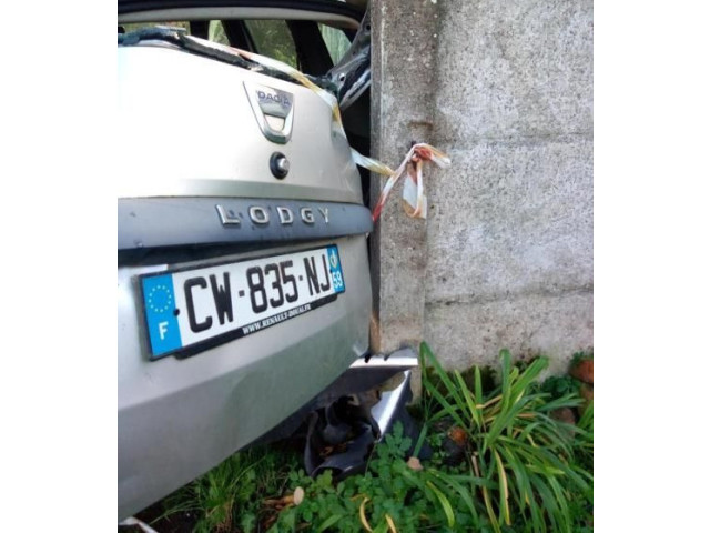 Панель приборов 248095021R Dacia Duster