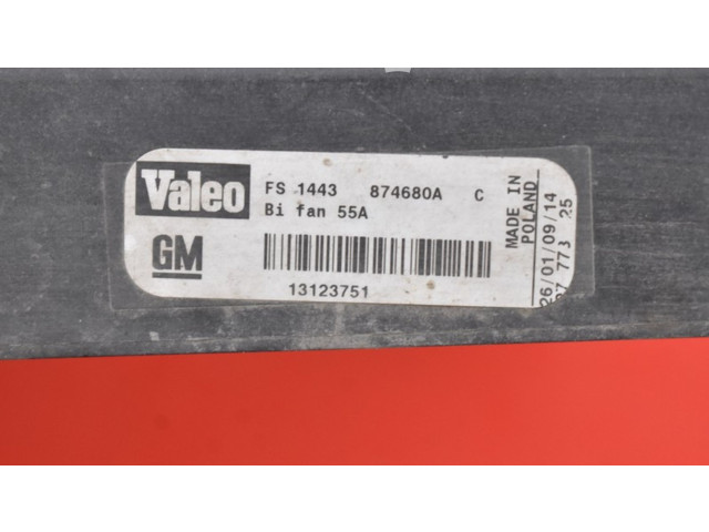 Вентилятор радиатора     874680A, 874680A    Saab 9-3 Ver2 