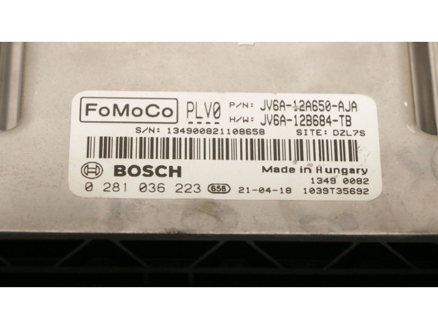 Блок управления двигателя 0281036223, 0281036223   Ford Transit -  Tourneo Connect