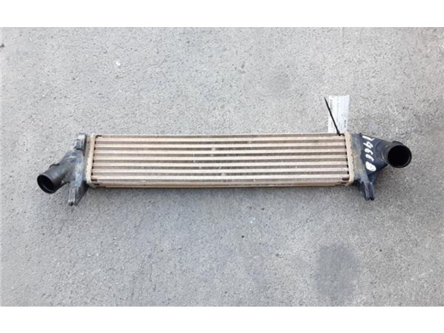 Интеркулер     Dacia Sandero 