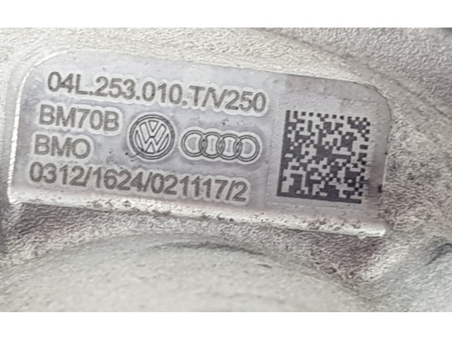 Турбина Skoda Superb B8 (3V) 04L253010T, 04L253010T для двигателя CRLB