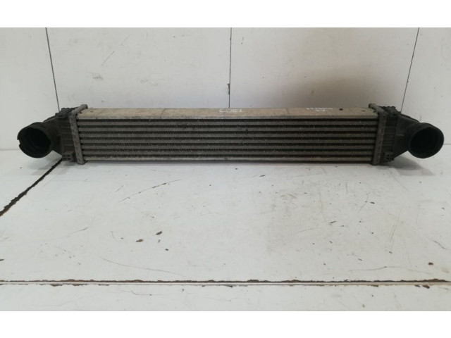 Интеркулер  A16950000   Mercedes-Benz ML W164 