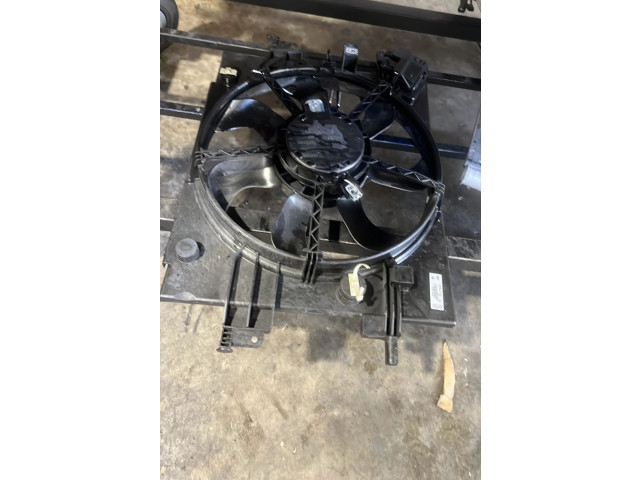 Вентилятор радиатора     214819521R    Dacia Duster 