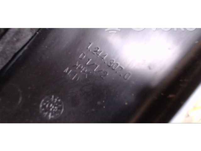 Зеркало (управляемое электричеством) 12443070   Renault Clio III