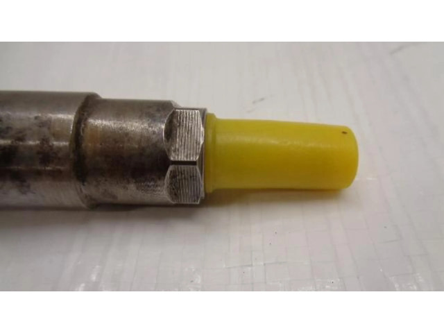 Комплект форсунок 0445110489 Ford Fiesta