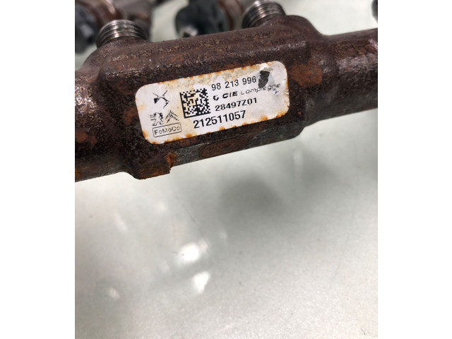 Комплект системы впрыска топлива 9828959880, 98213996 Citroen Berlingo