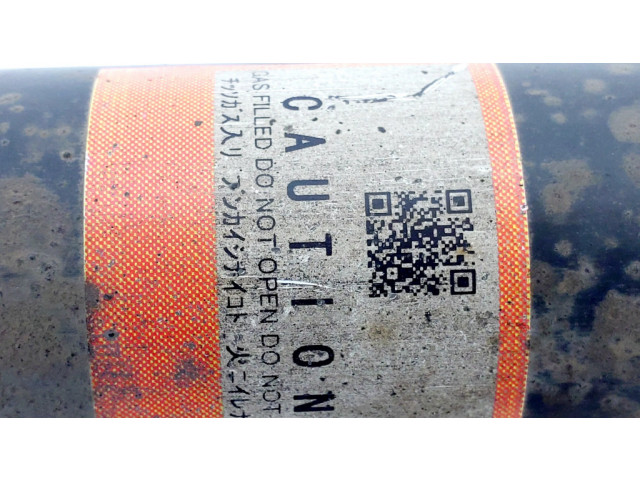 Задний aмортизатор      