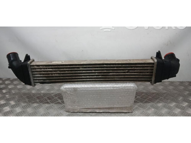 Интеркулер 8200424155 Dacia Logan I