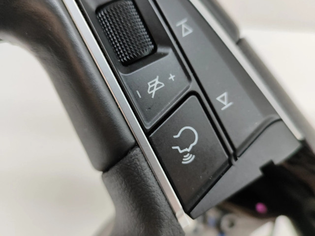 Volant Seat Tarraco 2019 5FJ419091MFO, 5FJ419091